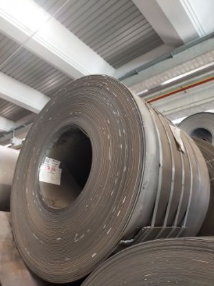 Immagine di 2101630081